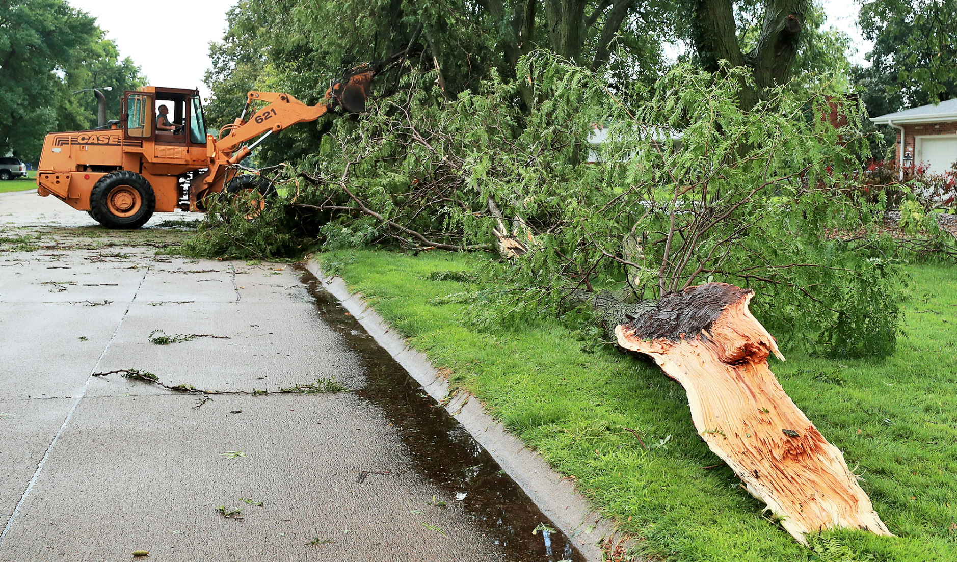 080819_Weather015_bjs.JPG